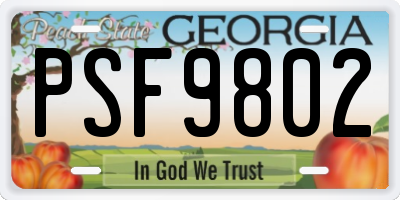 GA license plate PSF9802