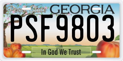 GA license plate PSF9803