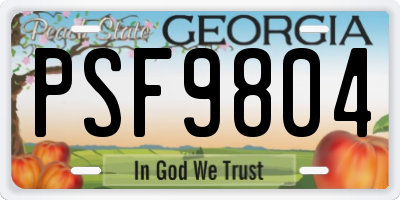 GA license plate PSF9804