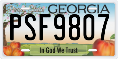 GA license plate PSF9807