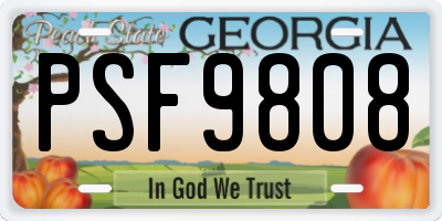 GA license plate PSF9808