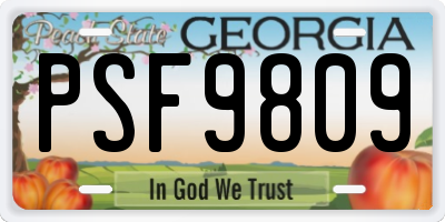 GA license plate PSF9809