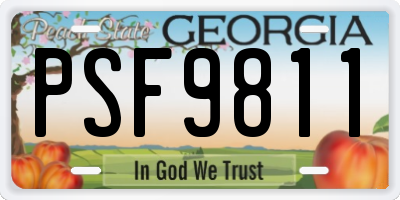 GA license plate PSF9811