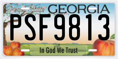 GA license plate PSF9813