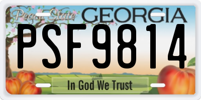 GA license plate PSF9814