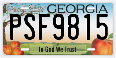 GA license plate PSF9815