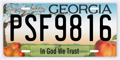 GA license plate PSF9816