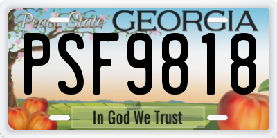 GA license plate PSF9818