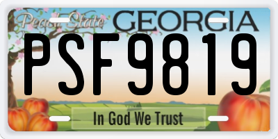 GA license plate PSF9819