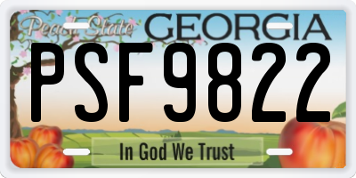 GA license plate PSF9822