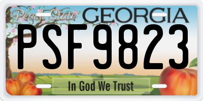 GA license plate PSF9823