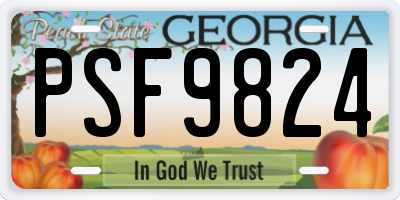 GA license plate PSF9824
