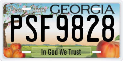 GA license plate PSF9828