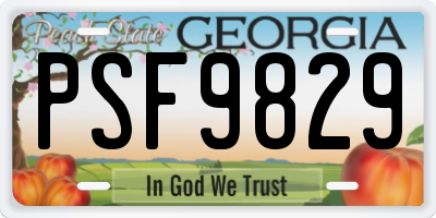 GA license plate PSF9829