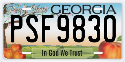 GA license plate PSF9830