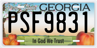 GA license plate PSF9831