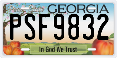 GA license plate PSF9832