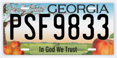 GA license plate PSF9833