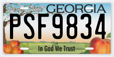 GA license plate PSF9834