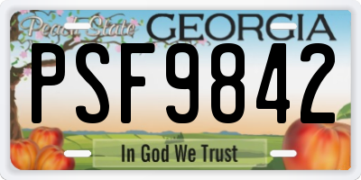 GA license plate PSF9842