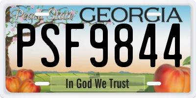 GA license plate PSF9844