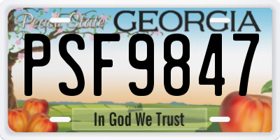 GA license plate PSF9847