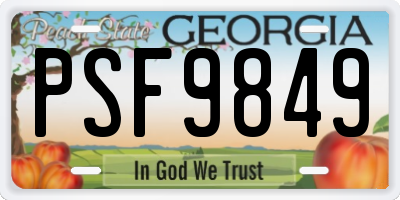 GA license plate PSF9849