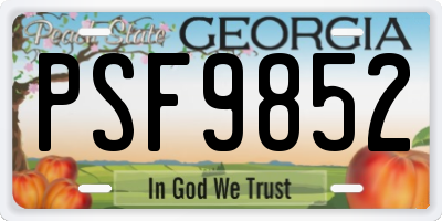 GA license plate PSF9852