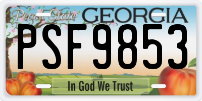 GA license plate PSF9853