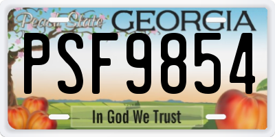 GA license plate PSF9854