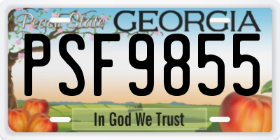 GA license plate PSF9855