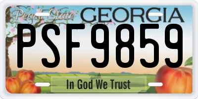 GA license plate PSF9859