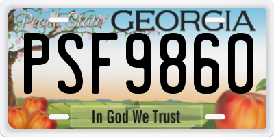 GA license plate PSF9860