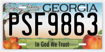 GA license plate PSF9863