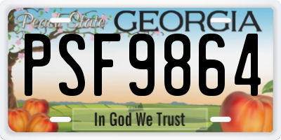 GA license plate PSF9864