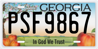 GA license plate PSF9867