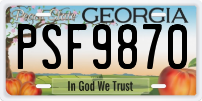GA license plate PSF9870