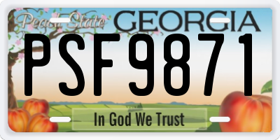 GA license plate PSF9871