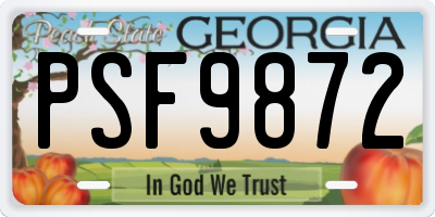 GA license plate PSF9872