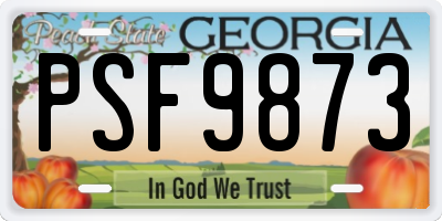 GA license plate PSF9873