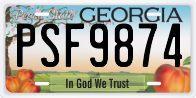 GA license plate PSF9874