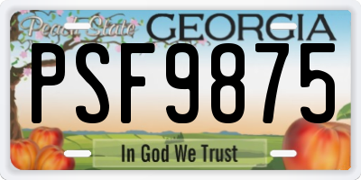 GA license plate PSF9875