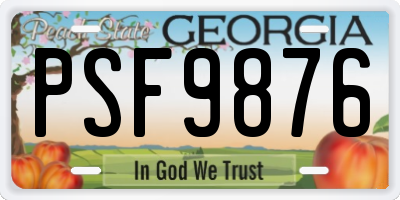 GA license plate PSF9876