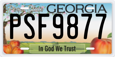 GA license plate PSF9877