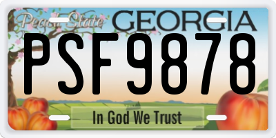 GA license plate PSF9878