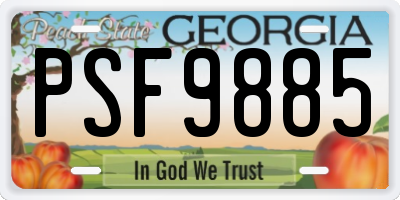 GA license plate PSF9885