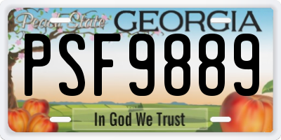 GA license plate PSF9889