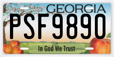 GA license plate PSF9890