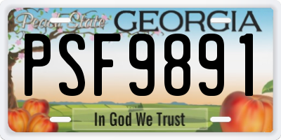 GA license plate PSF9891