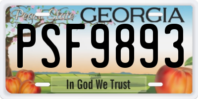 GA license plate PSF9893